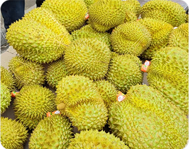 榴莲