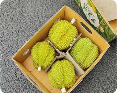 榴莲