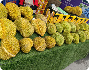 榴莲