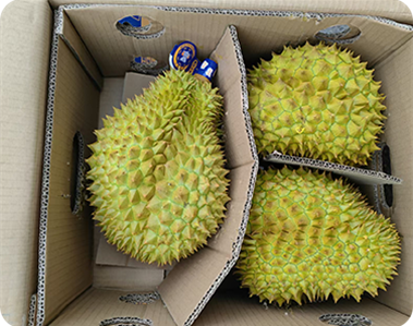 榴莲