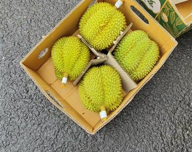 蓝莓