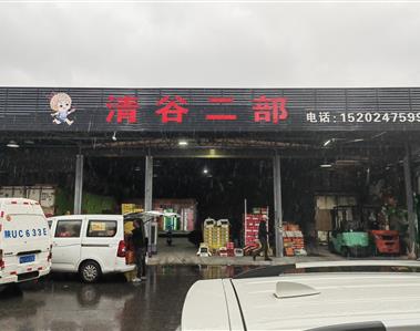 西梅