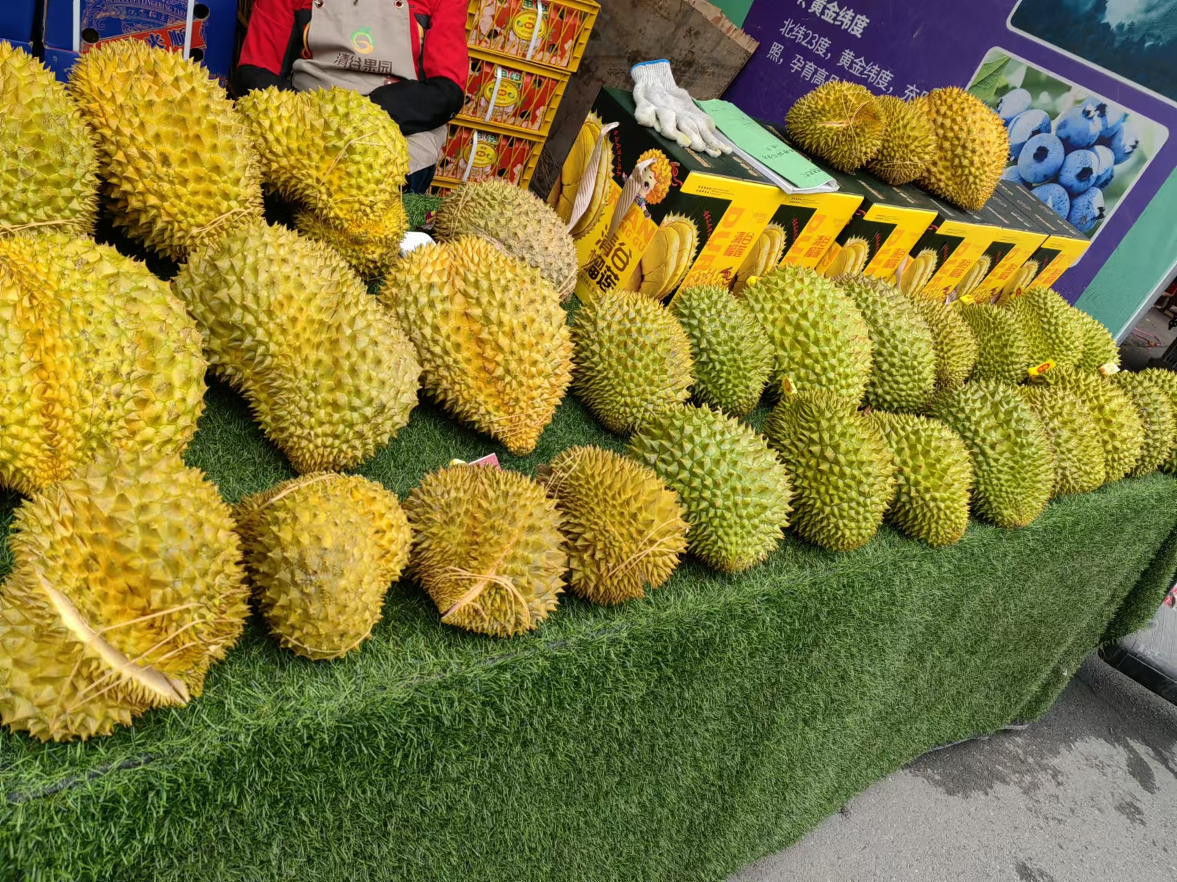c35ee0101872c5b7fa6c1a6ff821a9e.jpg